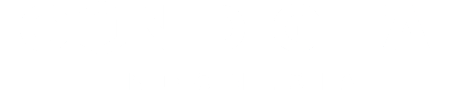 Icon Digital Indonesia